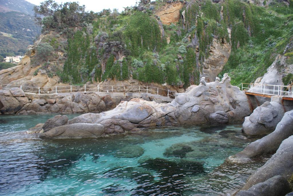 Pfa - Isola D'elba
