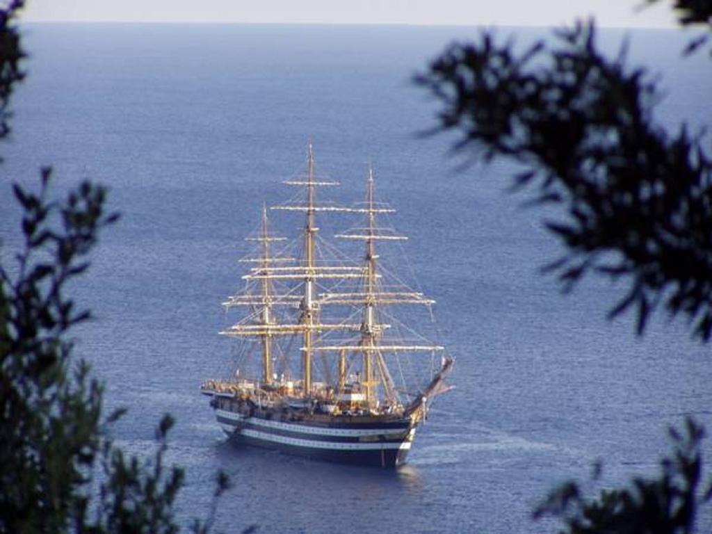 Pfa - Isola D'elba